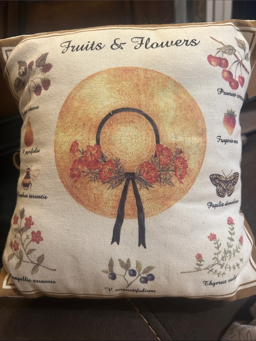 Alice’s HOME & COTTAGE Accent Throw Pillow
